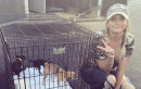 Miranda Lambert Is Out Rescuing Dogs in Houston
